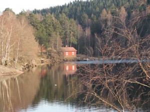 vår 2009 vid ågelsjön